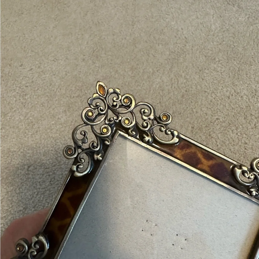 COPY - ADORABLE leopard & metal frames!!